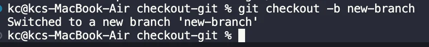 git checkout create new branch