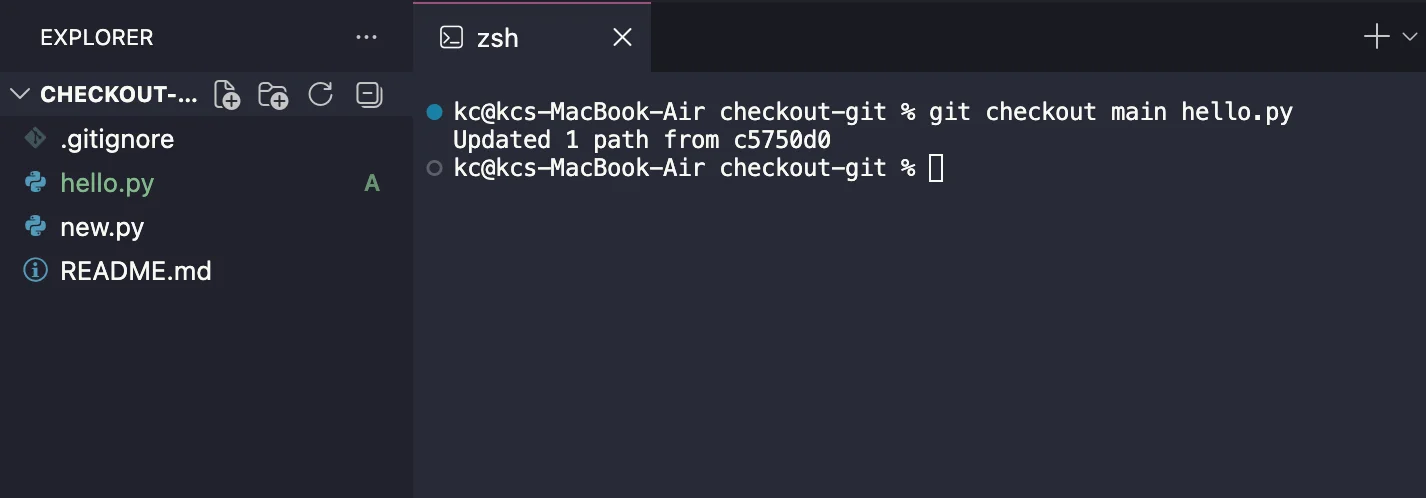 git checkout to restore a file